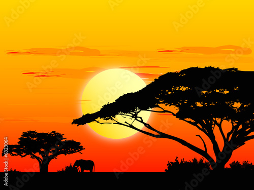 Foto-Lamellenvorhang - Africa sundown (von alphaspirit)