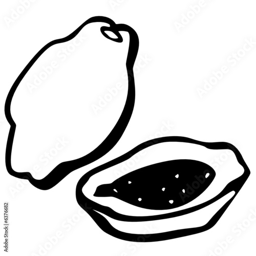 black and white papaya Stock Vector Adobe Stock