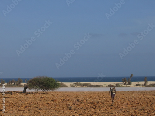 Cap Vert Desert Et Plage Buy This Stock Photo And Explore