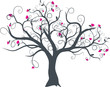 © Olivier Le Moal - vecteur série - dessin d'arbre à fleurs vectoriel au printemps