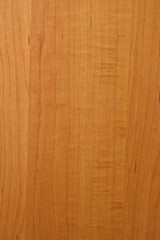 maple wood texture