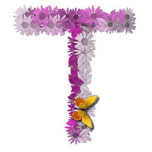 Alphabetical Letter Forms Pink Daisy Color Consonant T