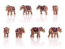 Small Elephant Models