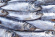 © Fanfo - Fresh herring Close-up