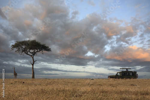 Naklejka ścienna masai mara