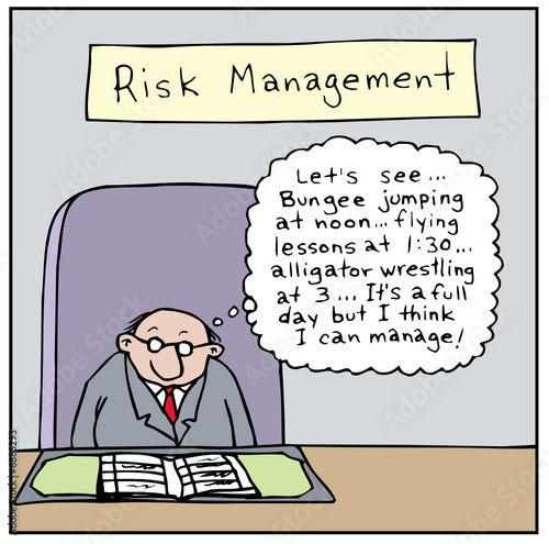 Risk Management Stock Vector | Adobe Stock
