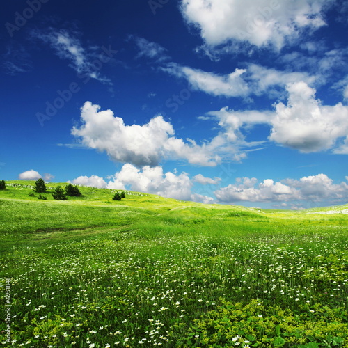 Naklejka dekoracyjna Field an clouds