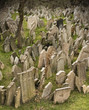 Cemetery with old gravestones in Prague Jewish district