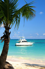 Poster - Tropical beach