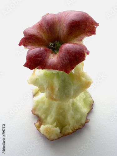 Torsolo Di Mela Buy This Stock Photo And Explore Similar Images At Adobe Stock Adobe Stock