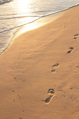 Poster - Footprints on sandy beach at sunrise