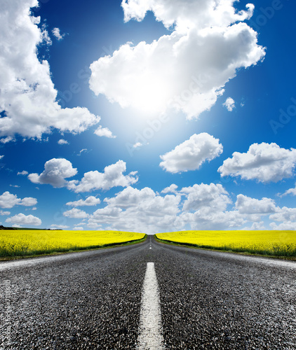 Obraz na płótnie canvas Canola road