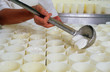 © OSCAR - FROMAGE DE CHÈVRE DU POITOU