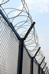 fence with barbed wire