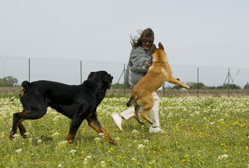 Poster - maitresse et ses deux chiens