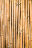 Fototapeta Sypialnia - bamboo wall