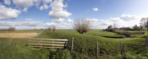  Dutch landscape