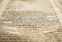 One Line Of Torah