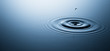 Leinwandbild Motiv water drop
