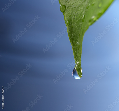 Foto-Vorhang - water drop (von Okea)