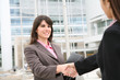 © Stephen Coburn - Business Woman Handshake