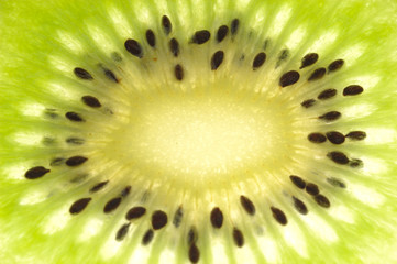 Wall Mural - Kiwi slice closeup