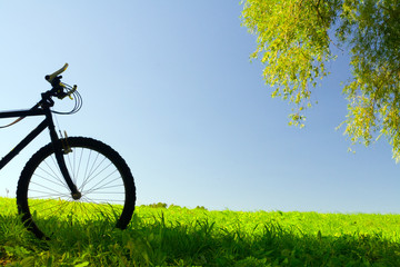 Mountain bicycle