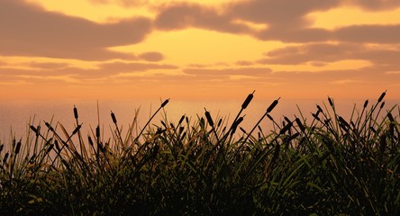 Canvas Print - Water Grass