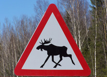 Warning For Moose