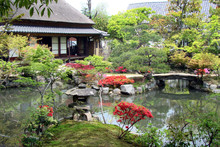 Japanese Garden In Nara