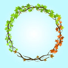 Wall Mural - vector frame of maple leaves - all seasons