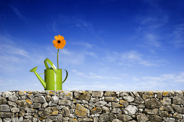 Wall Mural - flower in the green land