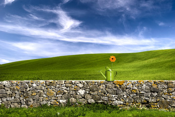 Wall Mural - flower in the green land