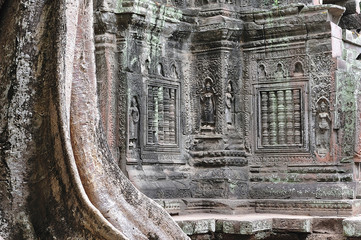 Wall Mural - Cambodia; Angkor; Ta Som temple: apsara