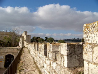 Wall Mural - Walls of Jerusalem