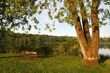 Morning At Deer Lake Park, Burnaby, Bc