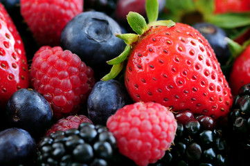 Wall Mural - Assorted fresh berries