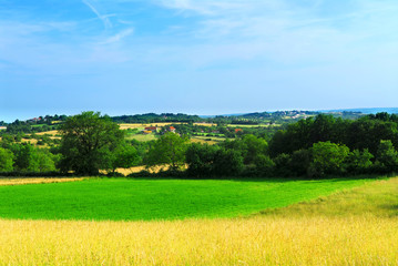 Wall Mural - Rural landscape