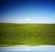 canvas print picture Green field
