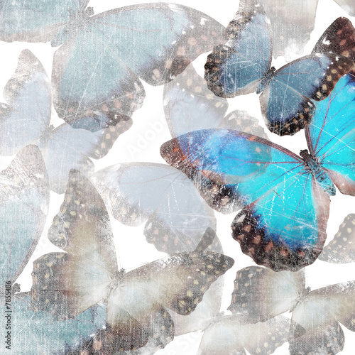background with marble butterflies