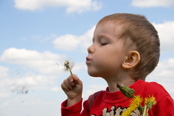 Wall Mural - Young boy blowing seeds of a dandelion flower