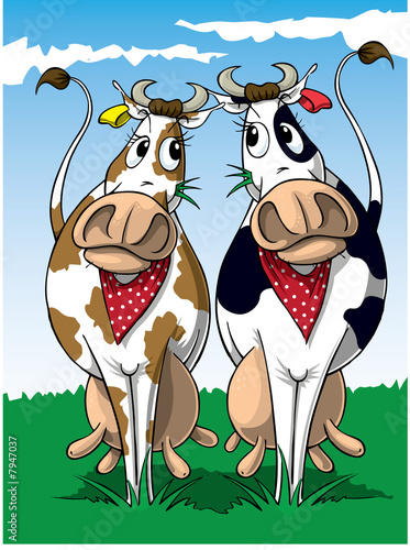 Foto-Lamellenvorhang - Two Cows (von robfolio)