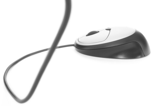 computer mouse