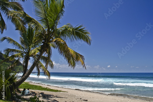 Ile De La Réunion Grande Anse Plage De Cocotiers Buy