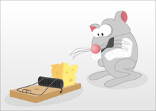 souris
