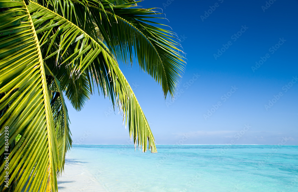 Foto-Kissen - Strand mit Palmen