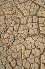 Wall Mural - A sand dune in the desert, Namibia, Africa