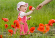 canvas print picture - Baby with poppies