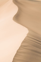 Wall Mural - highly detailed texture of sand dunes