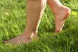 Leinwandbild Motiv gesunde Füße, barfuß im Gras, barfuß, barfuss, Copyspace